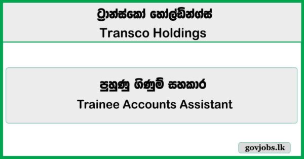 Trainee Accounts Assistant - Transco Holdings Job Vacancies 2026