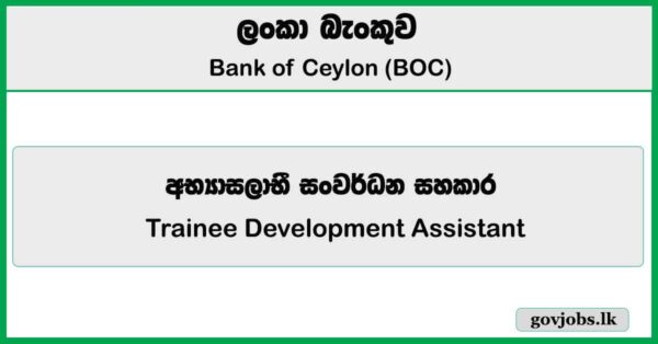 Trainee Development Assistant - Bank of Ceylon (BOC) Job Vacancies 2025