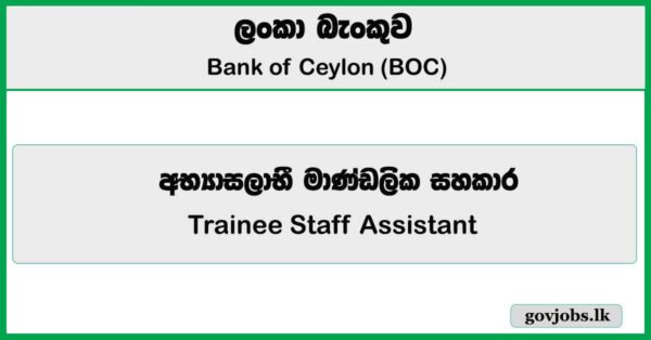 Trainee Staff Assistant - Bank of Ceylon (BOC) Job Vacancies 2025