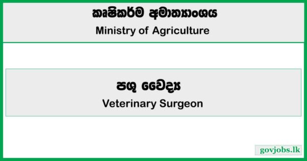 Veterinary Surgeon - Ministry of Agriculture Job Vacancies 2025