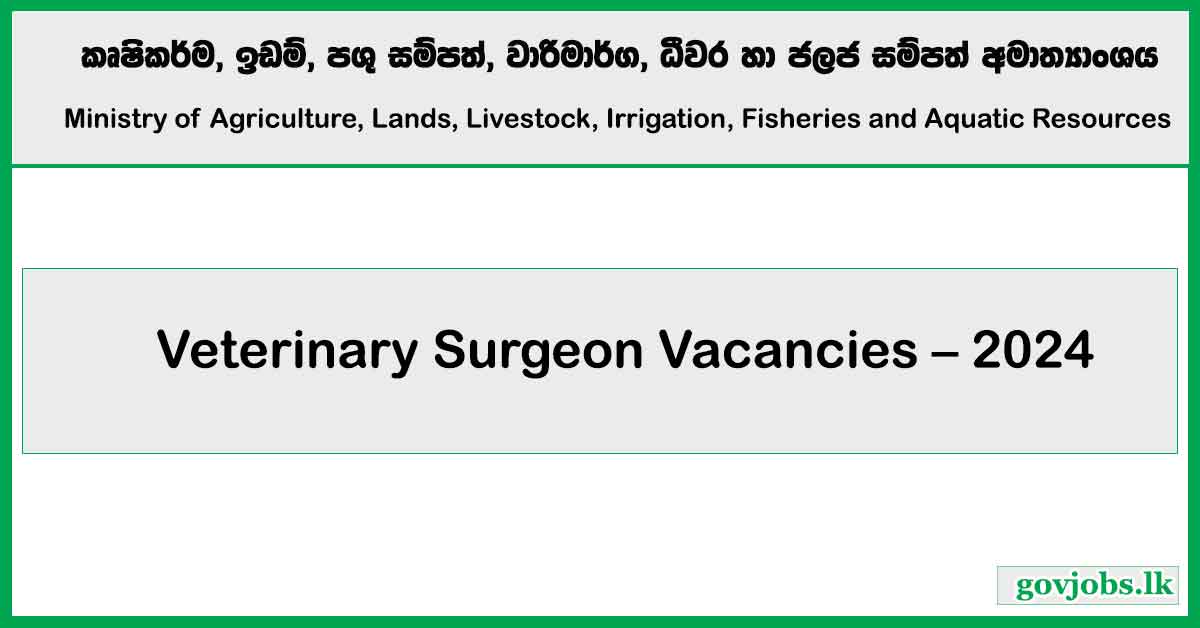 Veterinary Surgeon Vacancies 2024