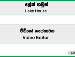 Video Editor - Lake House Job Vacancies 2025