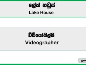 Videographer - Lake House Job Vacancies 2025