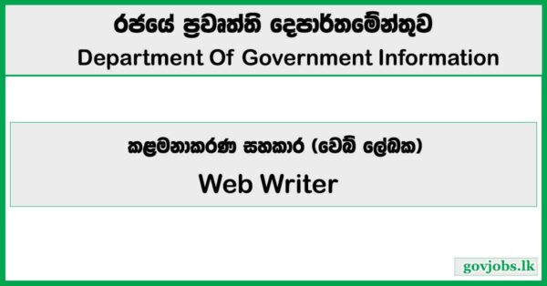 Web Writer - Department Of Government Information Job Vacancies 2026