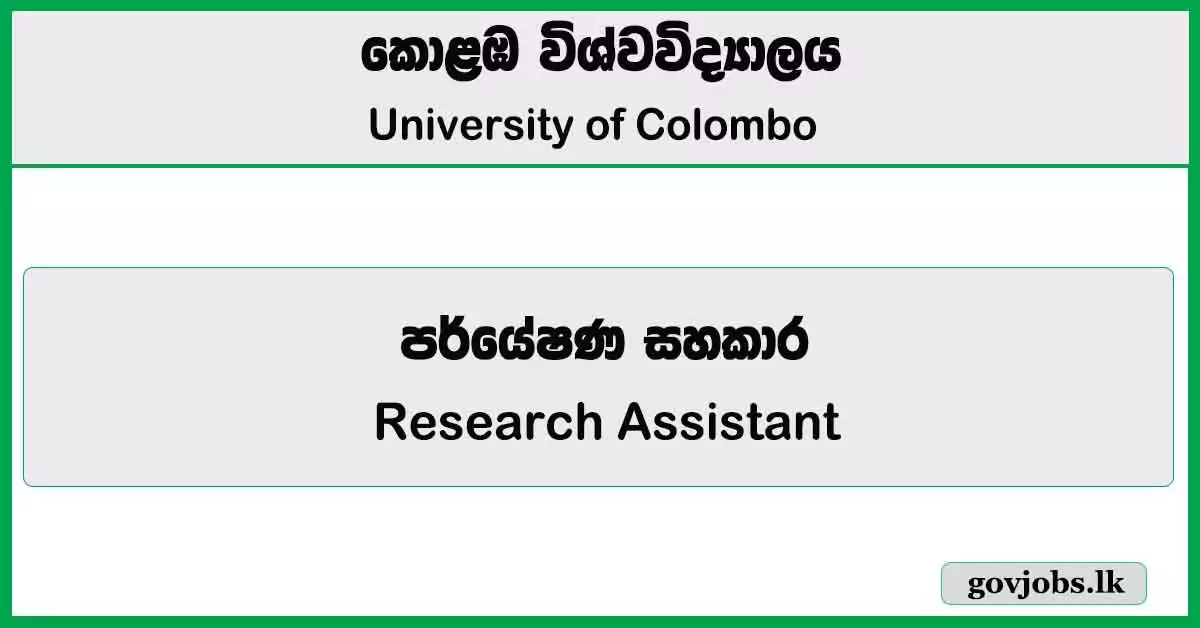 Research Assistant - University of Colombo Job Vacancies 2024